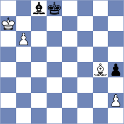 Cekan - Adamek (Plzen, 2004)