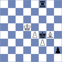 Mayrhuber - Sulzbacher (Playchess.com INT, 2020)