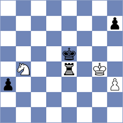 Dudzinski - Moosavifar (chess.com INT, 2025)