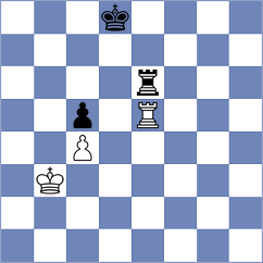 Archangelsky - Mayer Schwartz (Plovdiv, 2013)