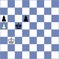 Fedrizzi - Silva (Brasilia, 1987)