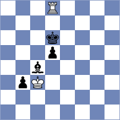 Tan - Palachev (chess.com INT, 2022)