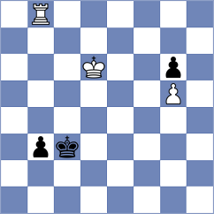 Kashtanov - Piesik (chess.com INT, 2024)