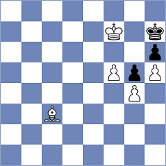 Baer - Chernykh (Schney, 2013)