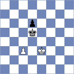 Stankov - Djuric (Nis, 2013)