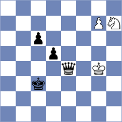 Ammann - Bachner (Velden, 2010)