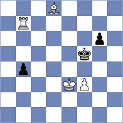 Baradaran Tamadon - Hoffmann (chess.com INT, 2024)