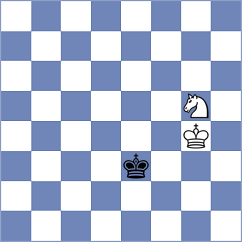 Mager - Heilmann (Playchess.com INT, 2009)