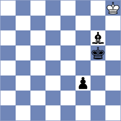 Belozerov - Balakrishnan (Chess.com INT, 2020)