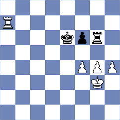 Trajkovski - Djordjevic (Nis, 2013)