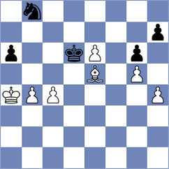 Fernandez - Gelman (Washington DC, 2004)
