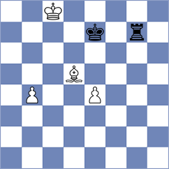 Belorusov - Mieses Hernandez (Santo Domingo, 2006)