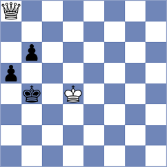 Schnepf - Meissl (Playchess.com INT, 2020)