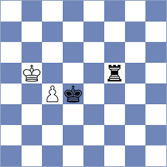Ribbe - Michel (Playchess.com INT, 2020)