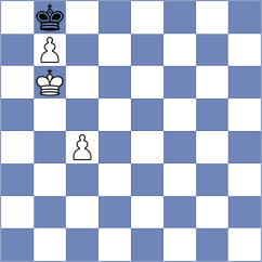Stojanovic - Buergler (Zagreb, 2013)