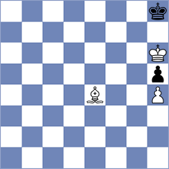 Sommerbauer - Ferreira (Playchess.com INT, 2004)