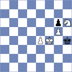 Fehmer - Schaefer (Playchess.com INT, 2020)
