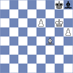 Schmidt - Nemec (Klatovy, 2004)