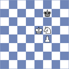 Schied - Bechler (Playchess.com INT, 2008)