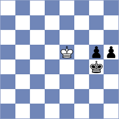 Vujovic - Danilovic (Cetinje, 2013)