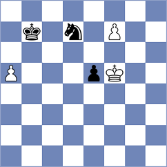 Schmidt - Medvegy (Rijeka, 2010)