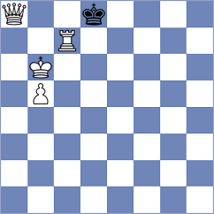 Schut - Mohammadian (chess.com INT, 2023)