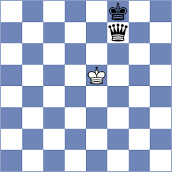 Van Koningsveldt - Schapmann (Playchess.com INT, 2004)