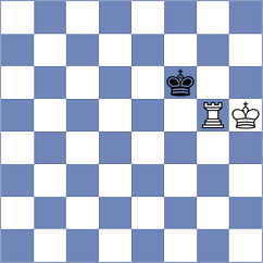 Bicevic - Topchess2 (Playchess.com INT, 2004)