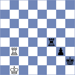 Palencia - Dominguez Perez (chess.com INT, 2024)