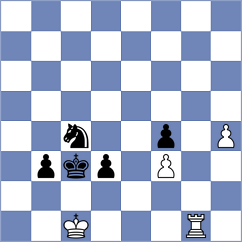Shinkarev - Panda (chess.com INT, 2024)