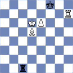 Beerdsen - Hammer (chess.com INT, 2023)
