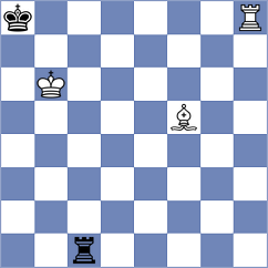 Lehtosaari - Dzierzak (chess.com INT, 2024)
