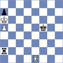Rajlich - Sebi chess (Playchess.com INT, 2007)