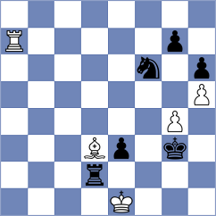 Shishkov - Dowgird (chess.com INT, 2024)