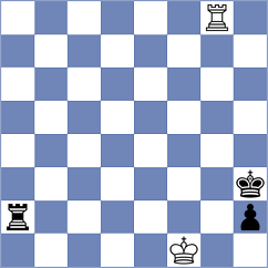 Fieberg - Novozhilov (chess.com INT, 2024)
