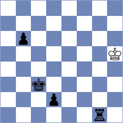 Hamidi - Novak (chess.com INT, 2023)