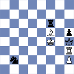 Zavgorodniy - Vrashank (chess.com INT, 2024)