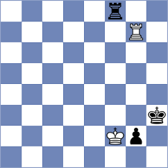 Duda - Carlsen (chess24.com INT, 2021)