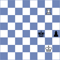Hrbek - Cagara (chess.com INT, 2024)