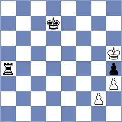 Brilej - Hambleton (chess.com INT, 2024)