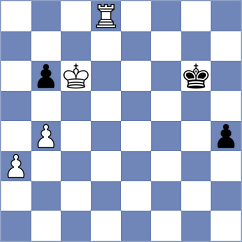 Skaric - Steenbekkers (chess.com INT, 2023)