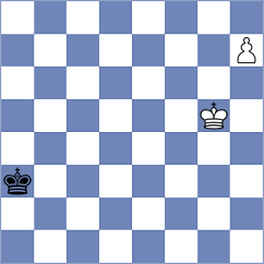 Schoorl - Kucuksari (chess.com INT, 2024)