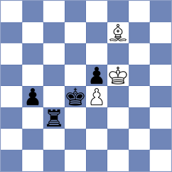 Ranaldi - Shevchuk (chess.com INT, 2024)