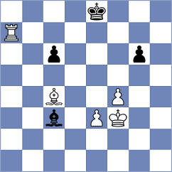 Salem - Andreikin (chess.com INT, 2024)