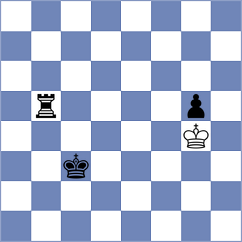 Brzezina - Pichot (chess.com INT, 2024)