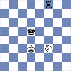 Arabidze - Beerdsen (chess.com INT, 2024)