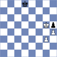 Seletsky - Haddouche (chess.com INT, 2021)