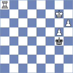 Volkov - Salman (chess.com INT, 2023)