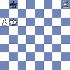 Nemec - Taspinar (chess.com INT, 2022)