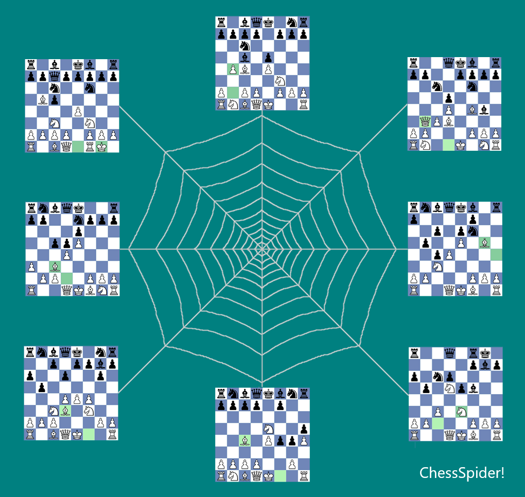 ChessSpider! chess opening repertoire software